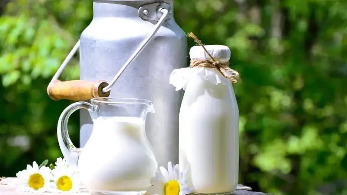 Donkey milk is the most expensive milk in the world do you know the price