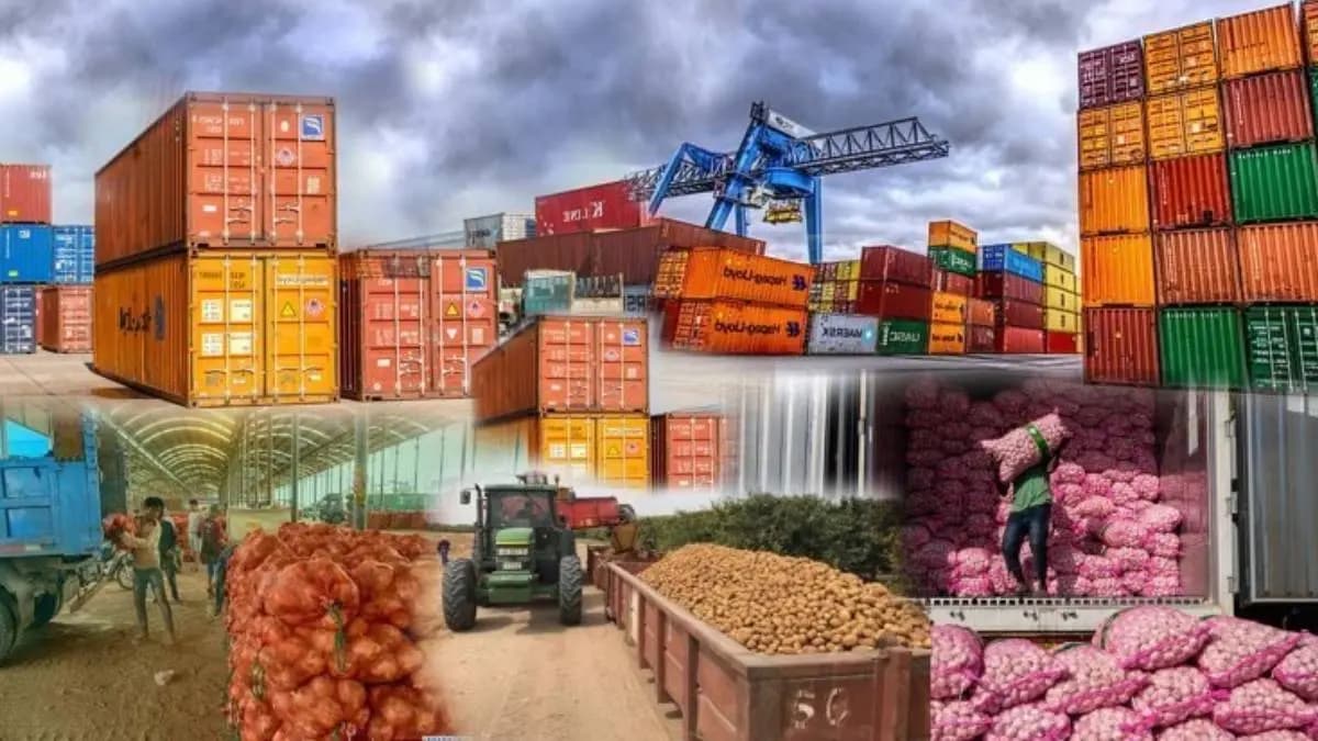 Myths and facts about Indias agro export