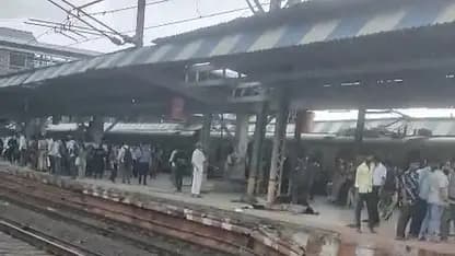 Five Dead After Daily Passengers Fall Off Overcrowded Train Near Mumbai