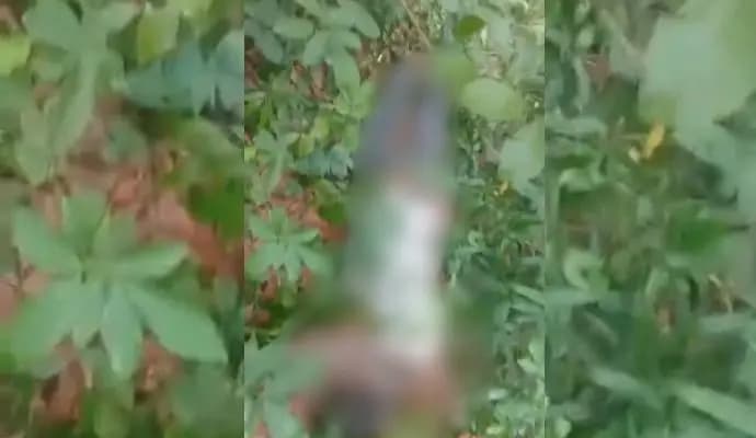 three detained as boy dead in murshidabad