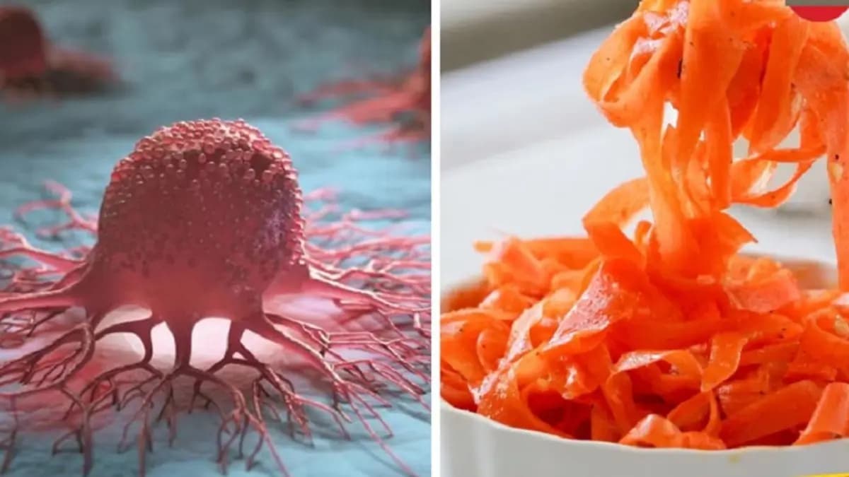 By eating These foods you can reduce risk of cancer