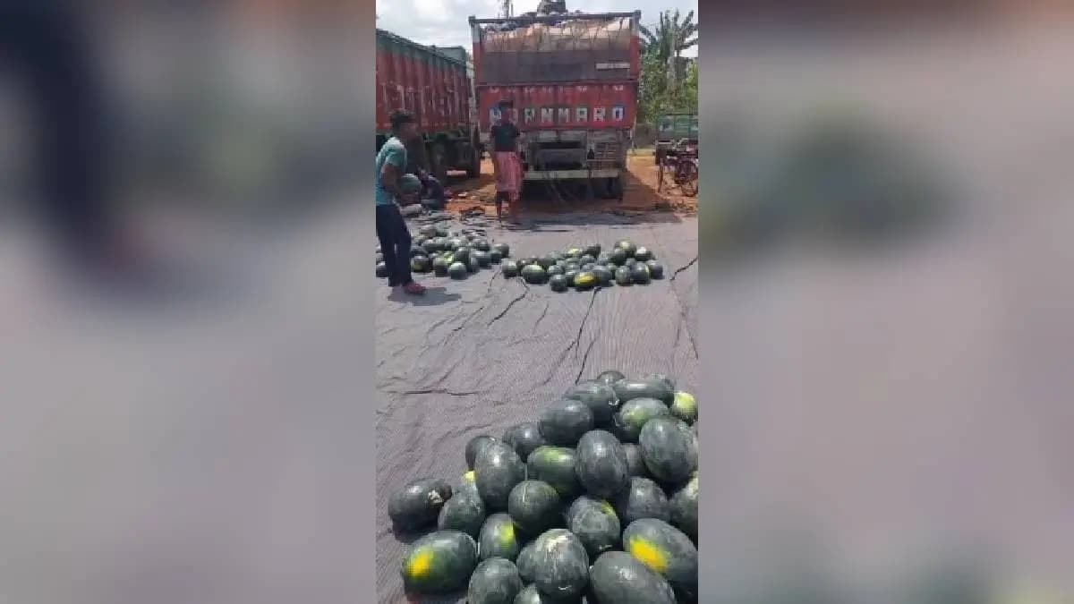 STF Rescued Quintals of Drugs Hidden Inside Watermelon Laden Truck