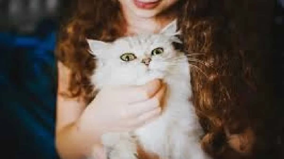 Humans may be passing bird flu to cats gnr