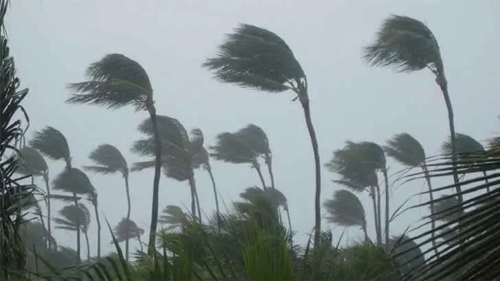 IMD Latest Weather Forecast Moderate Rainfall Thunderstorm Orange Alert for Four Days in West Bengal