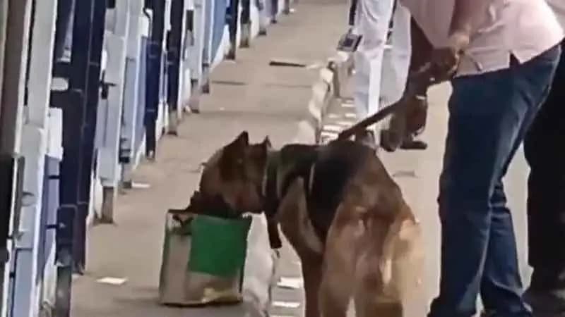 hoax bomb scare on second hooghly bridge gnr