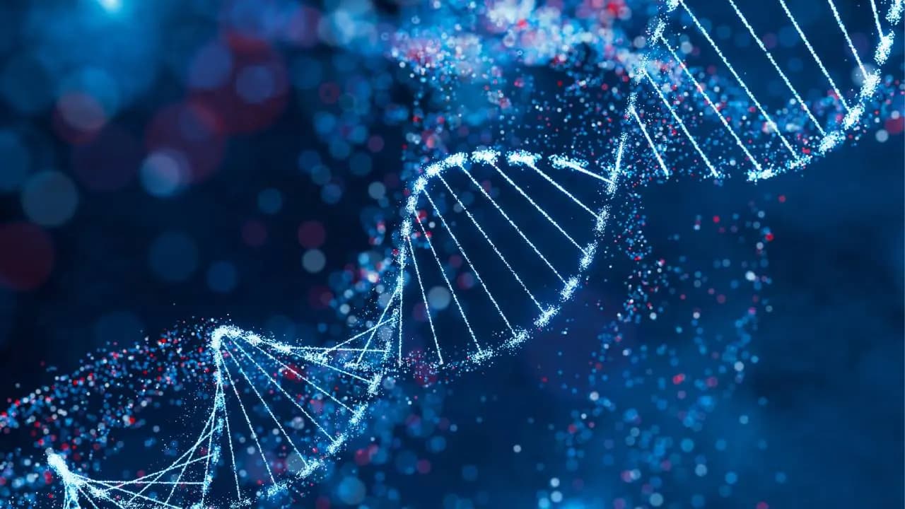 DNA test revealed different fathers UK records first case of rare biological phenomenon