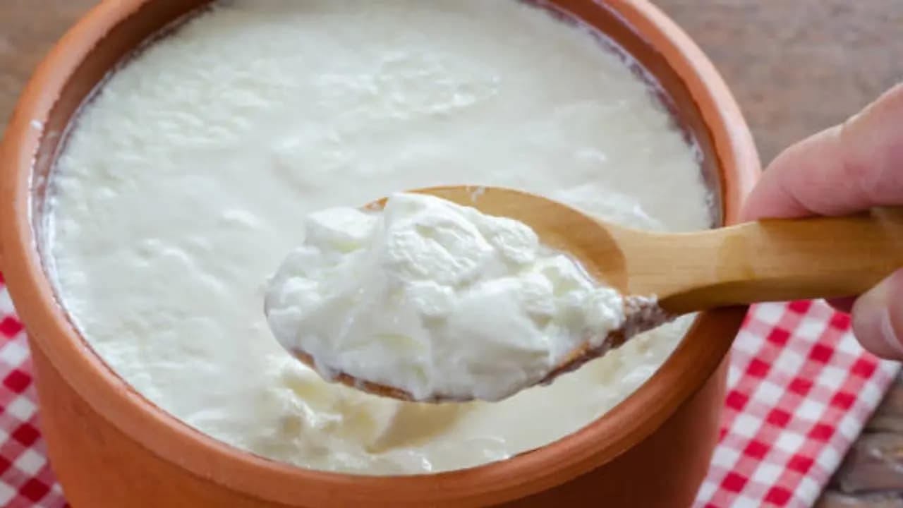 Home made curd recipe