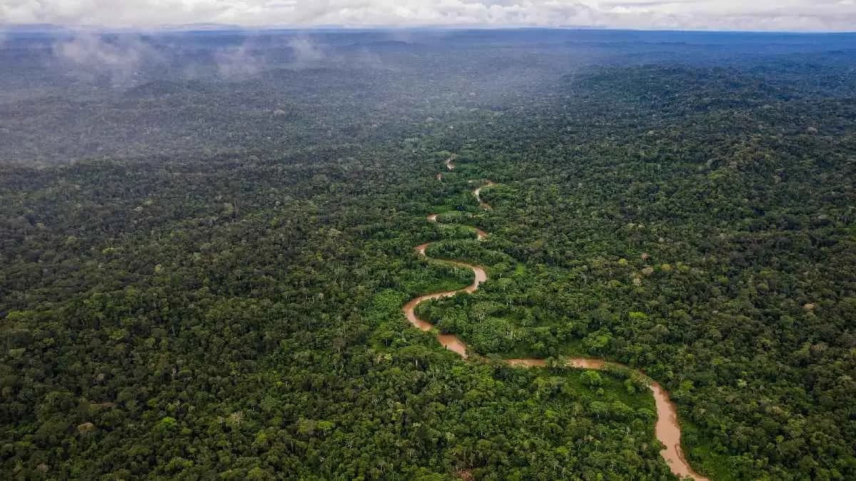 Forests of Amazon are failing to adapt to Climate Change