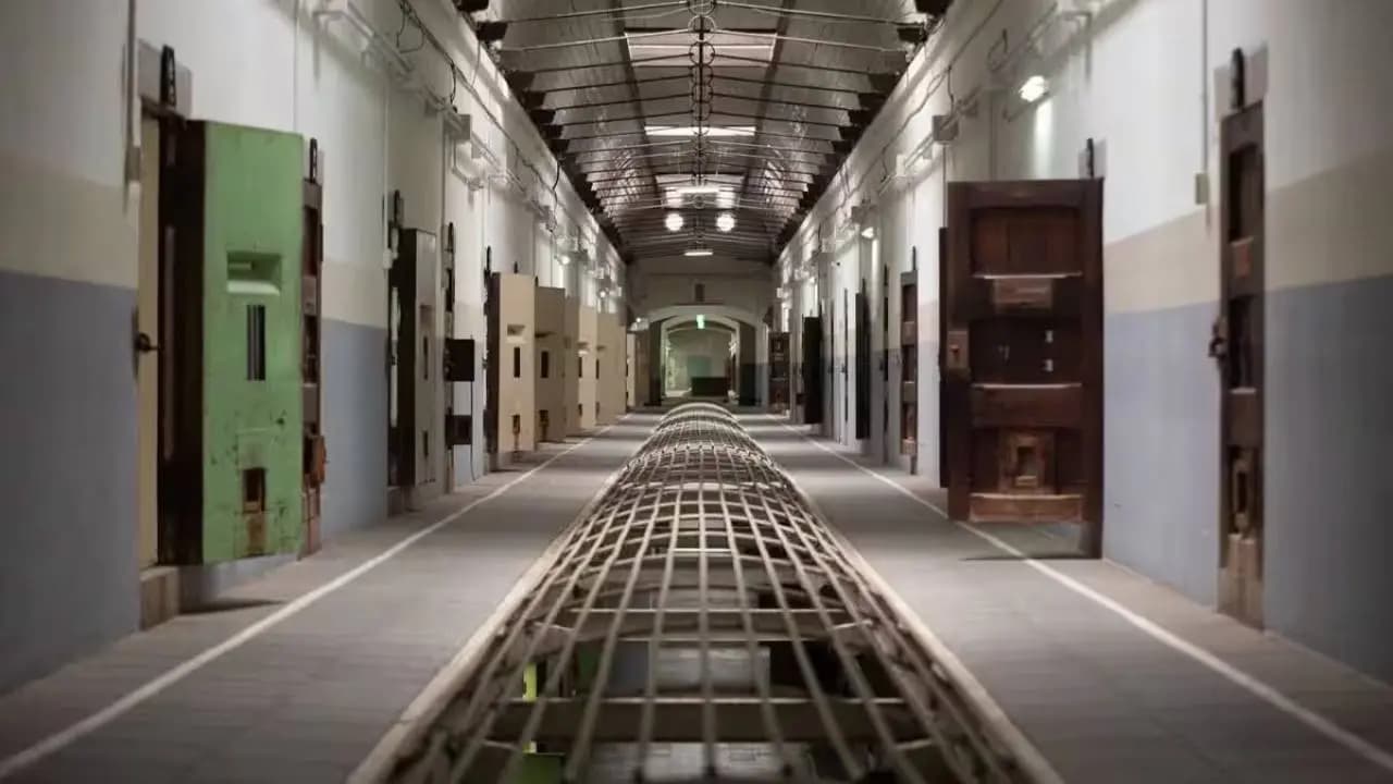 Netherlands Shuts Down Prisons as Crime Rates Plummet; Former Jails Converted into Schools