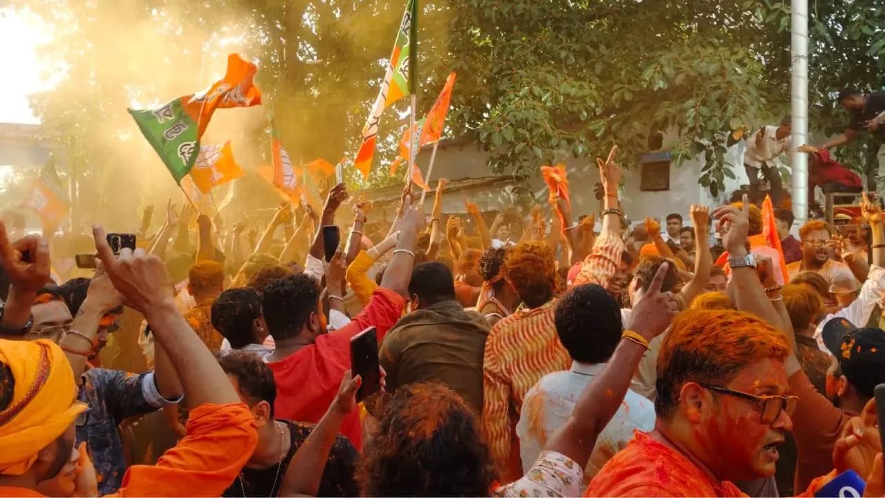BJP Celebration 