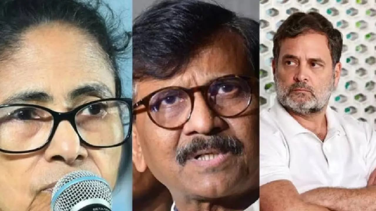 Bengal Election 2026: Sanjay Raut on what went wrong with TMC in Bengal 