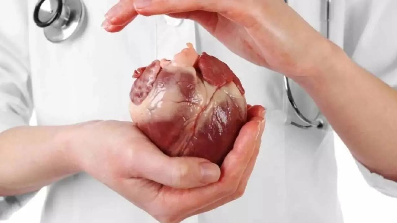 Myocardial Ischemia: Identifying Key Symptoms of Reduced Oxygen Flow to the Heart