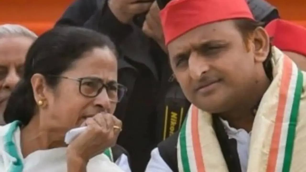 Akhilesh Yadav to meet Mamata Banerjee tomorrow amid poll debacle