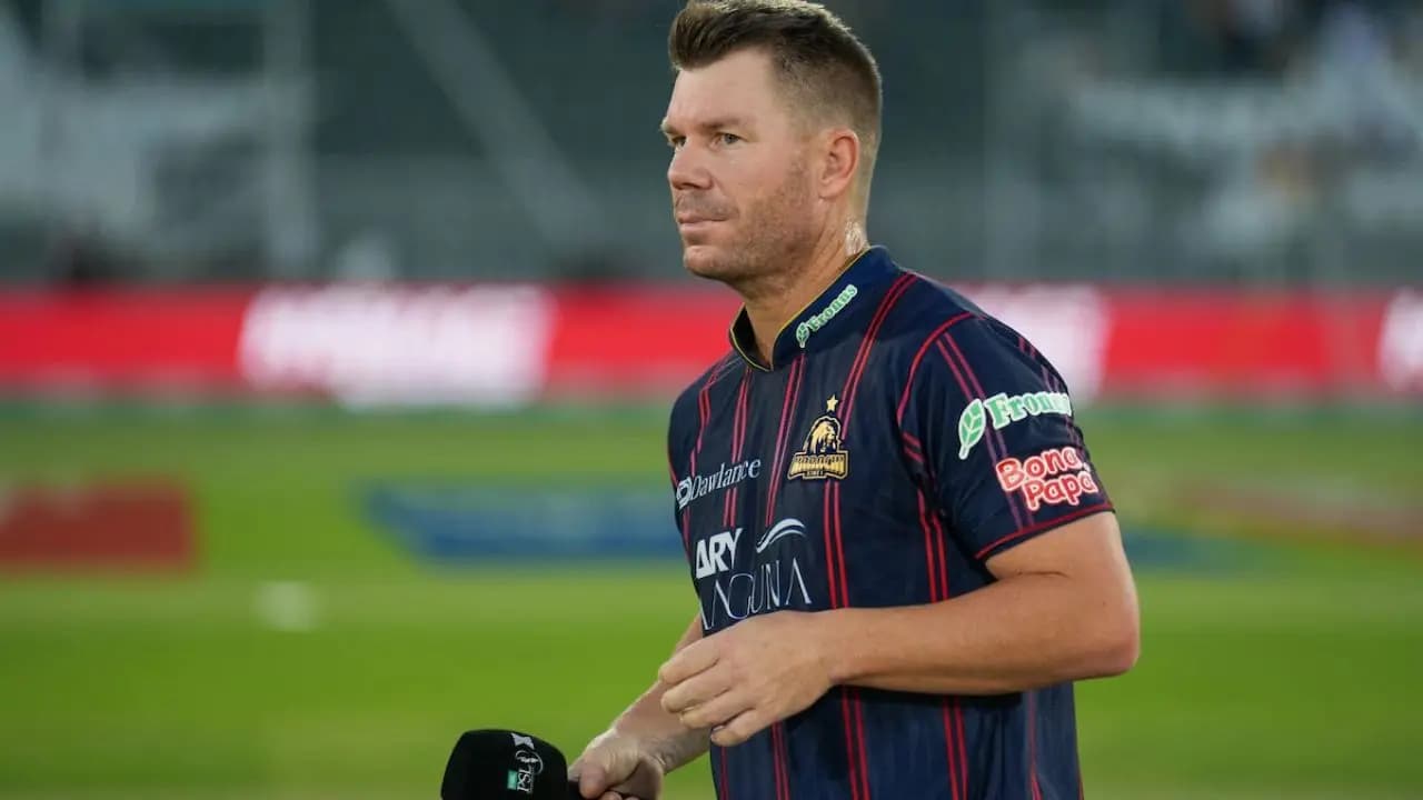 Former Australian Test cricketer David Warner will accept responsibility for a reckless and foolish decision 