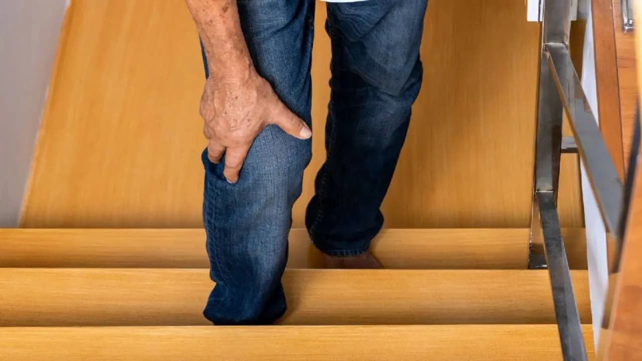 Knee Pain While Climbing Stairs? Warning Signs and Effective Remedies for Better Bone Health