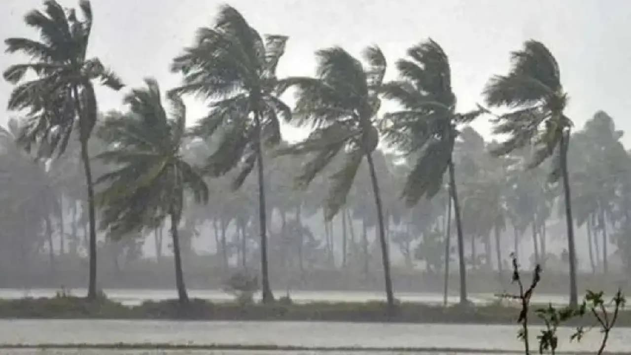 শনিবার শপথ নেবে বাংলার প্রথম বিজেপি সরকার। কিন্তু হাওয়া অফিস জানাচ্ছে, এদিন শহরে হতে পারে তুমুল ঝড়বৃষ্টি। 