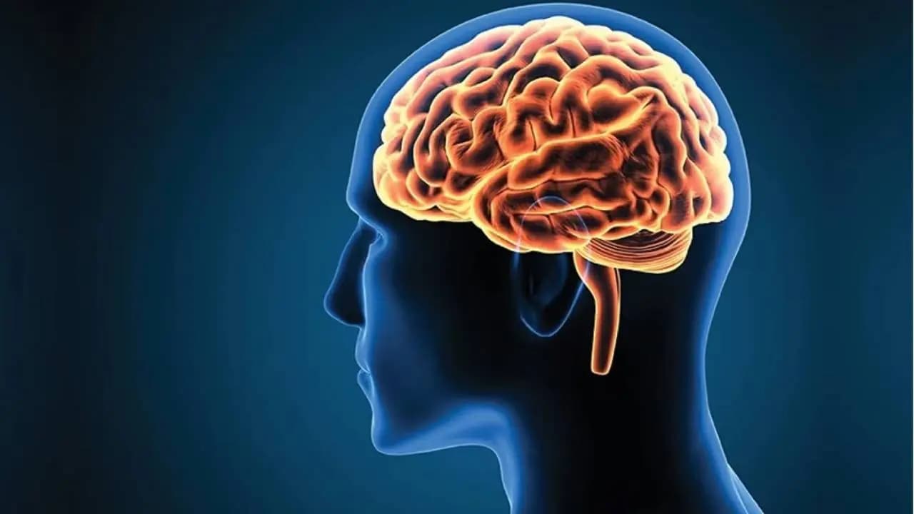 Brain Health Foods: 5 Best Superfoods to Improve Memory and Focus Naturally