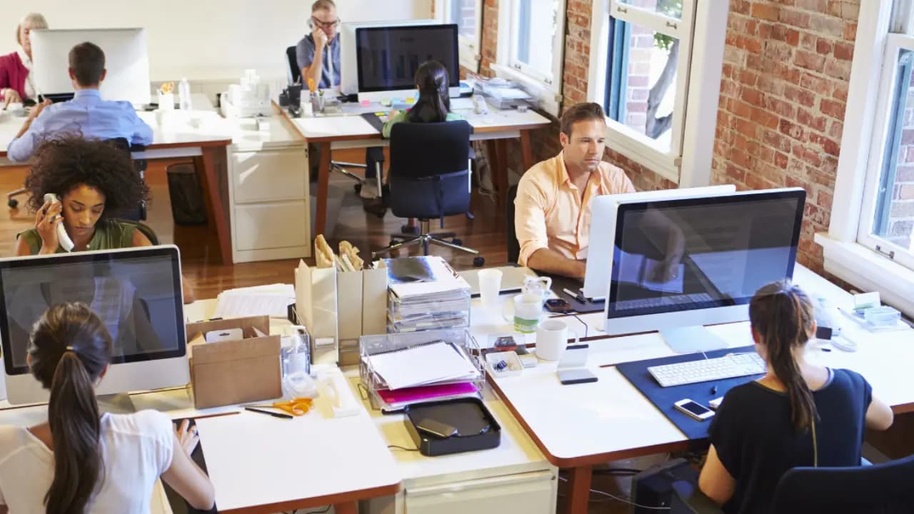 Indian woman shares the shocking details of work culture in Netherlands
