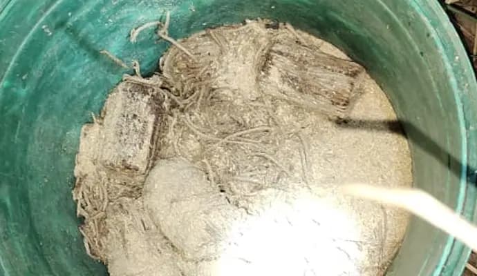 Bomb found in murshidabad