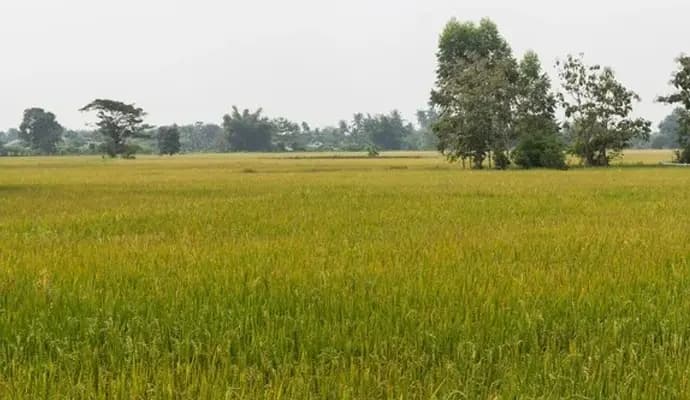 bengal govt initiative to stop land corruption