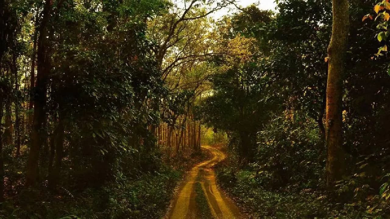 Would you like to visit the offbeat corners of the Dooars at an absolute minimum cost 