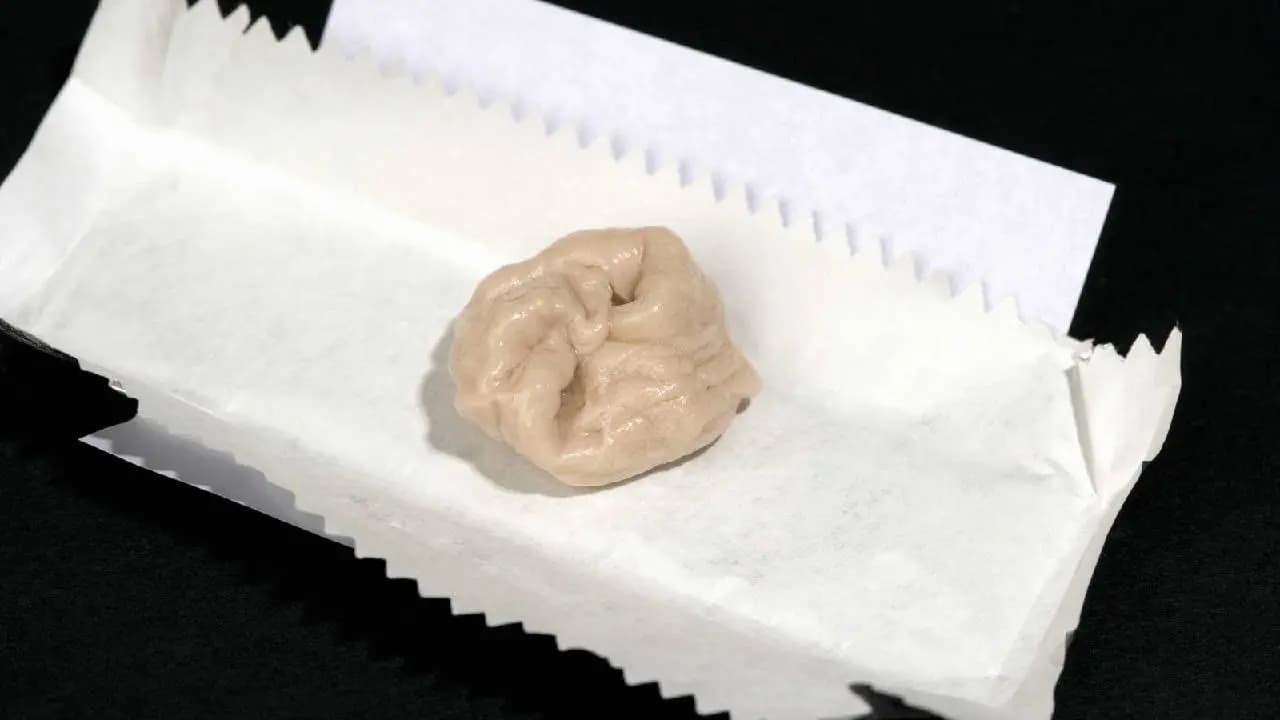 Chewing gum DNA evidence mitchell gaff case in America police starts new investigation 