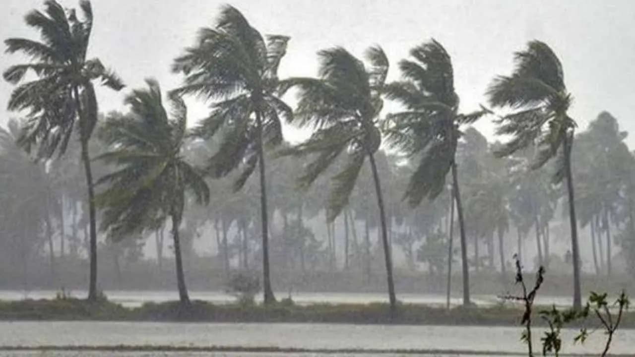 Monsoon onset likely over Bay of Bengal Andaman Sea by weekend: IMD