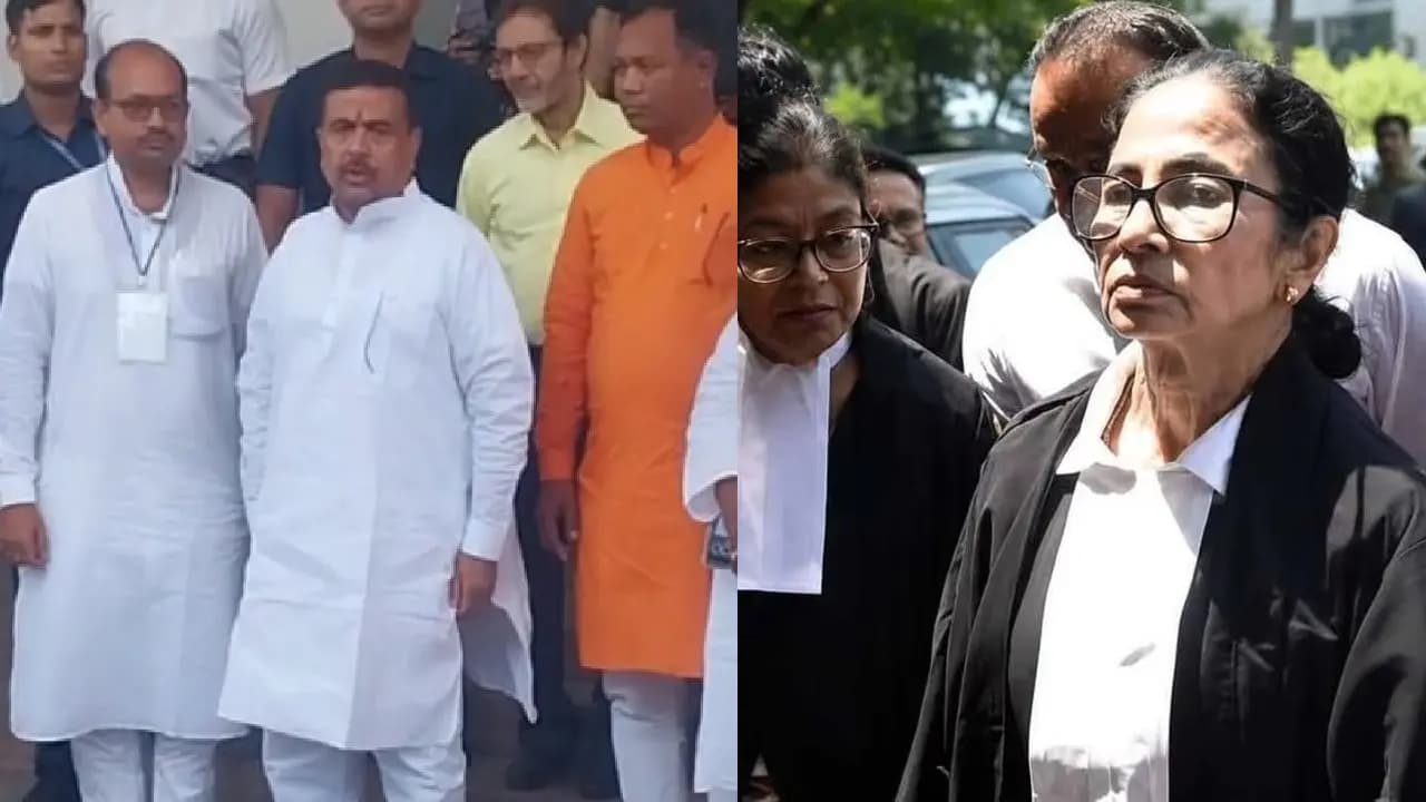 Mamata Banerjee in calcutta high court 