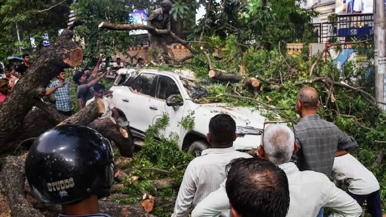 Uttar Pradesh Thunderstorms: 89 Killed As Rainfall, Dust Storm, Lightning Strikes In Several Districts