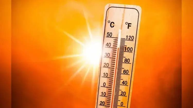 Temperatures May Hit 45 Degrees Celsius Delhi To Face Severe Heatwave Soon