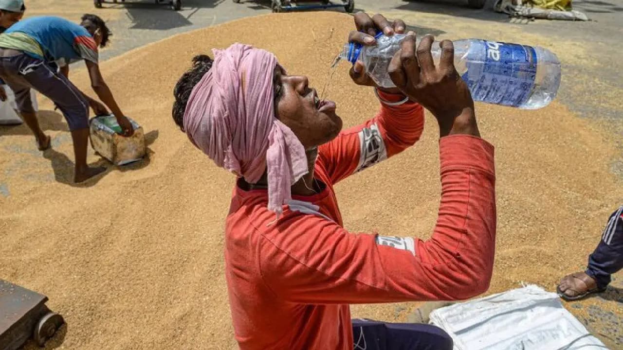 El Nino Impact On India 
