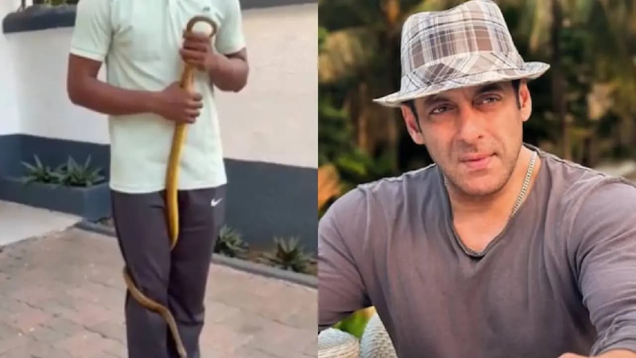 Salman Khan s Galaxy Apartment: Five Foot Snake Rescued from Actor's Mumbai Residence