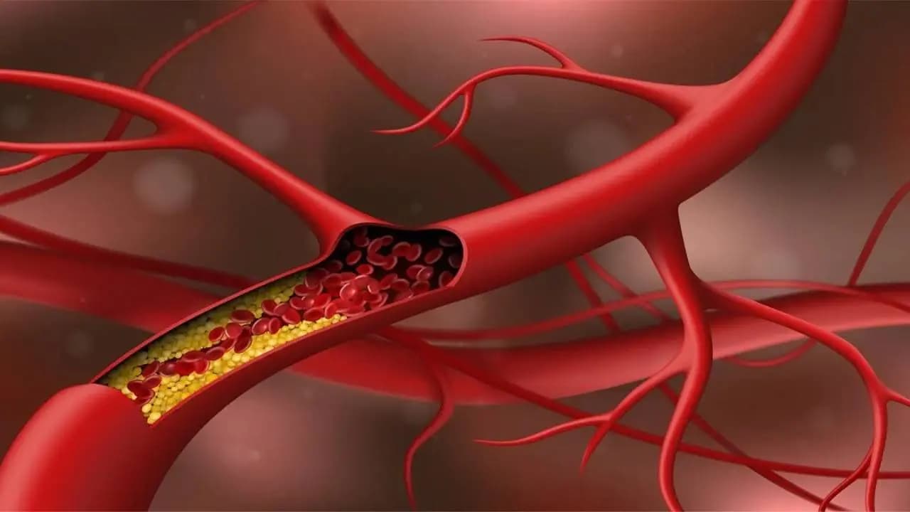 These Easy Daily Habits Control High Cholesterol Naturally 