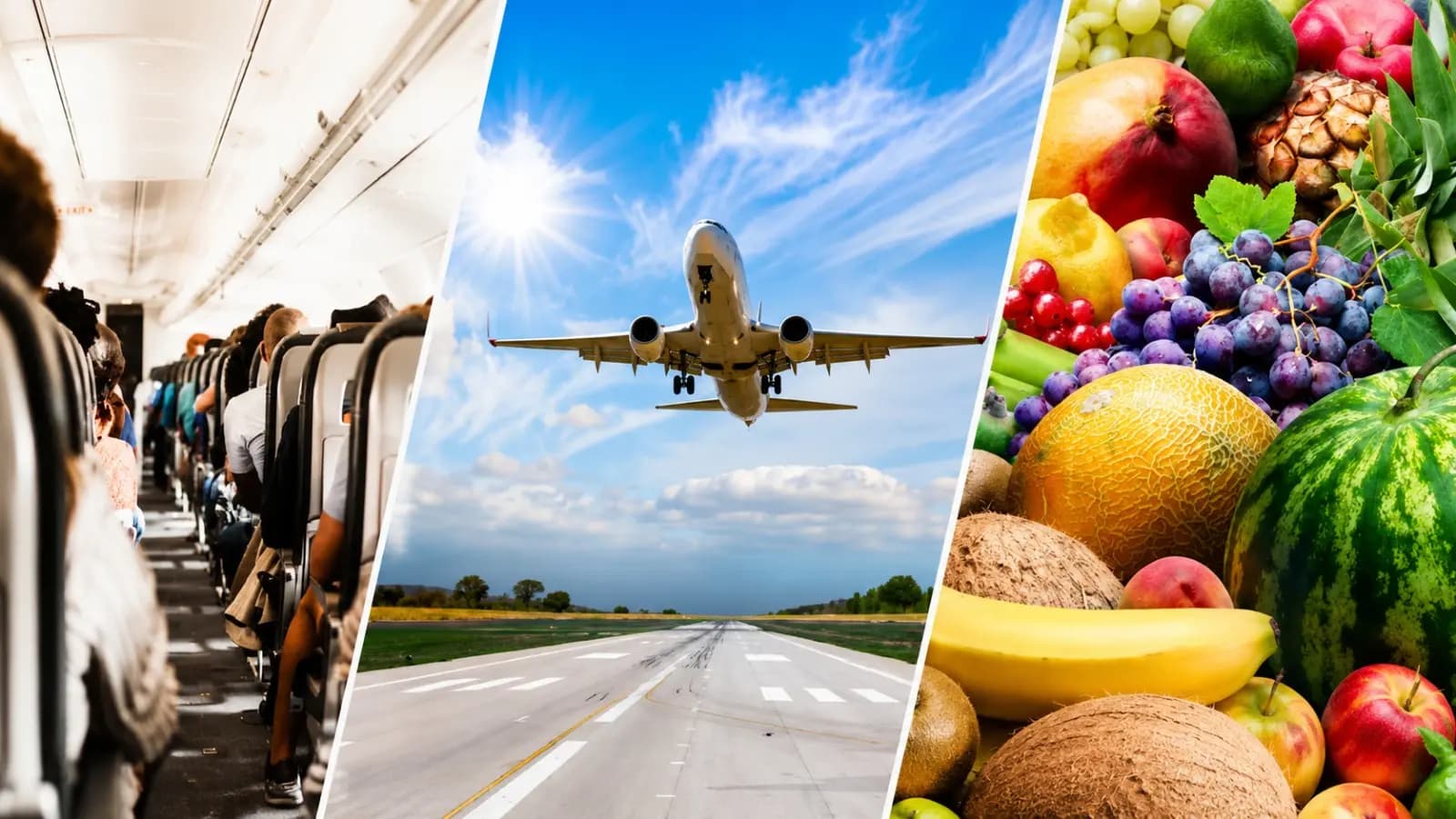 Which fruit can result in a hefty fine if you take it on a plane