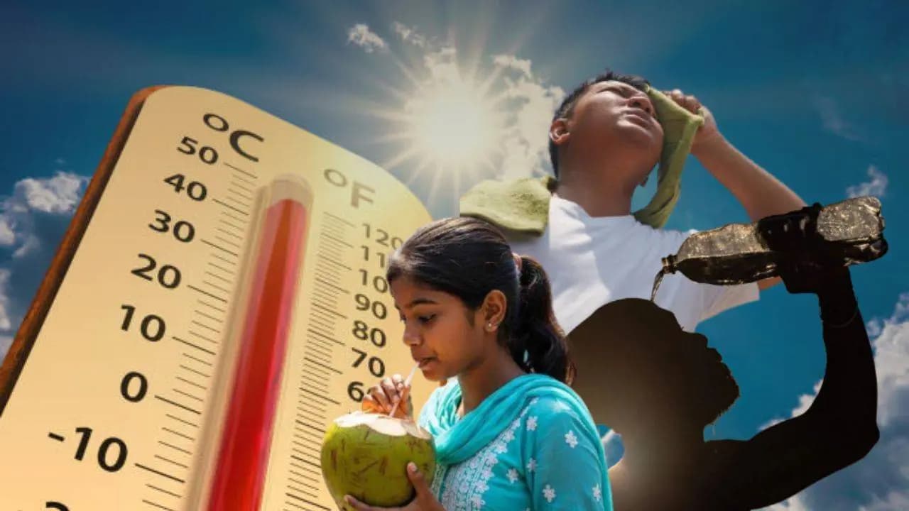 Heatwave Survival Tips: Best Cooling Foods and Drinks to Avoid Heatstroke This Summer