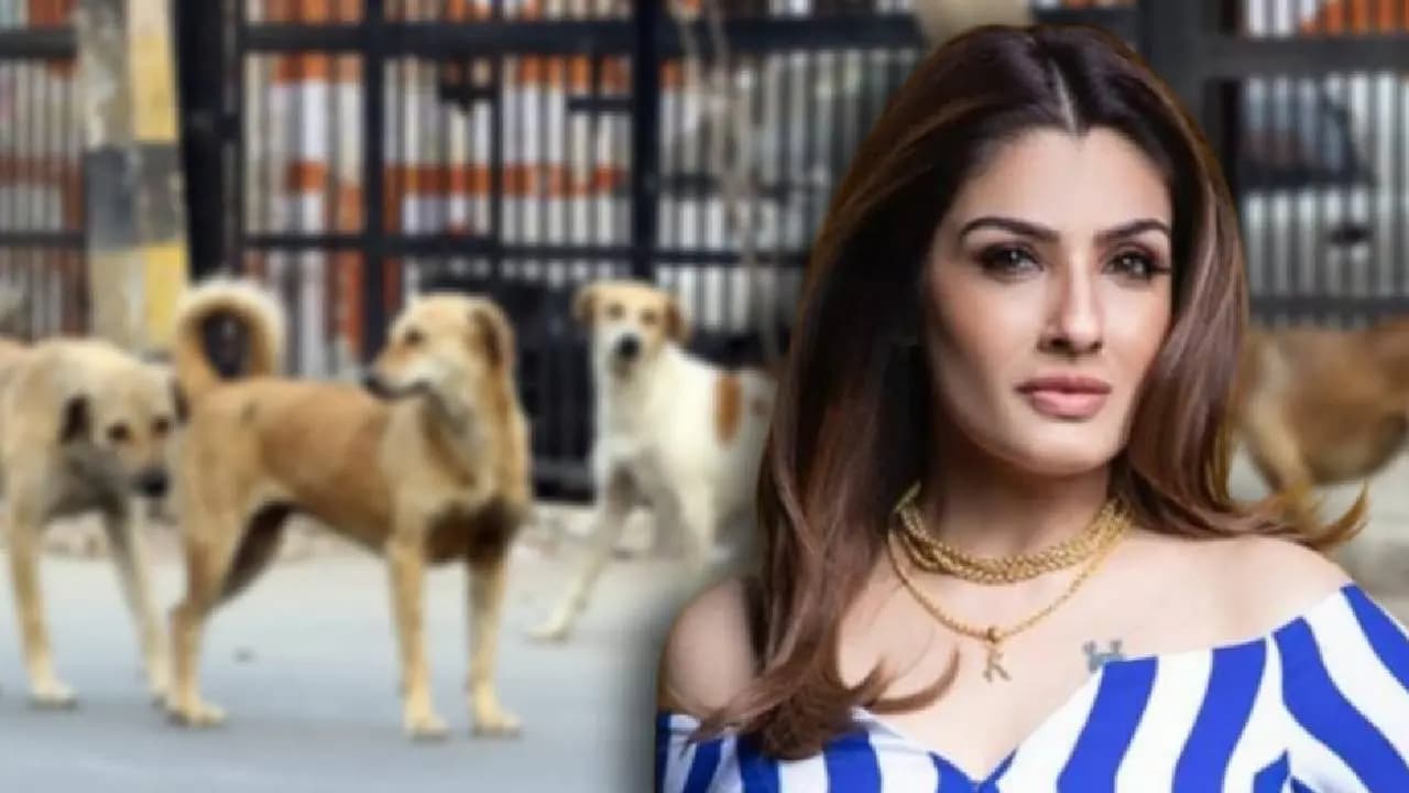 Raveena Tandon Urges Punjab CM Bhagwant Mann for Humane Stray Dog Management