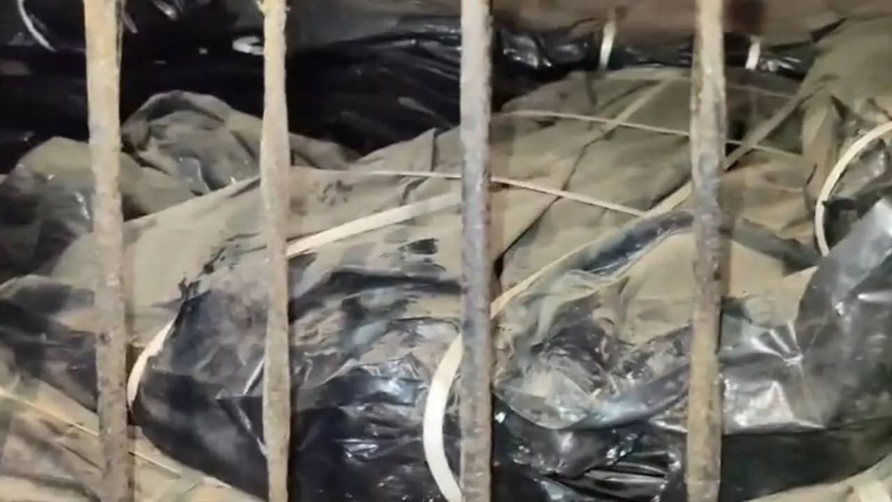 Thousands of tripals recovered from the house of a close associate of former Trinamool MLA in Egra