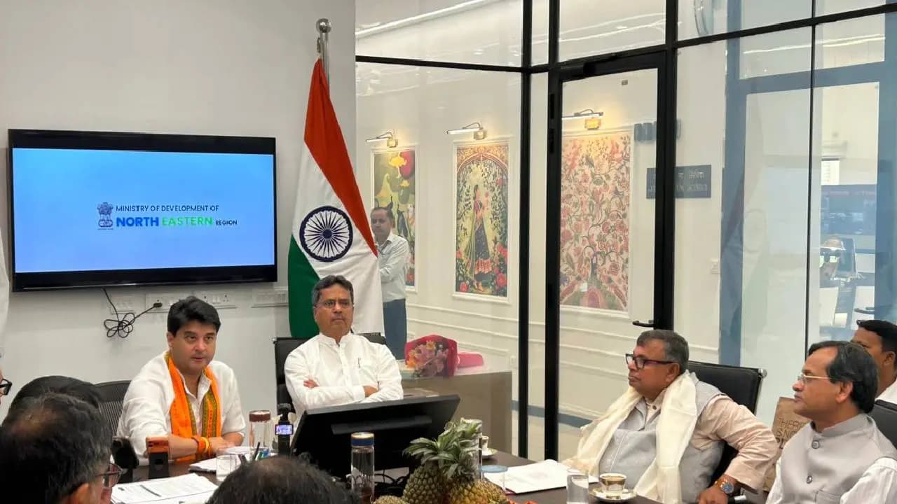 Tripura govt to export pineapple 