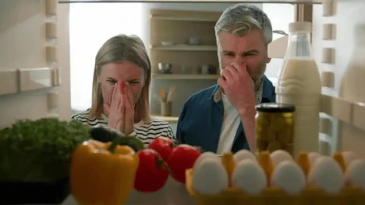 Rotten Eggs
