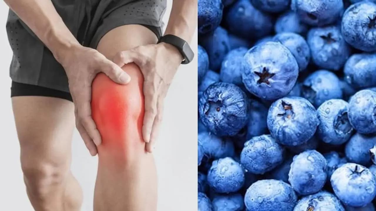 Blueberries for Bone Health