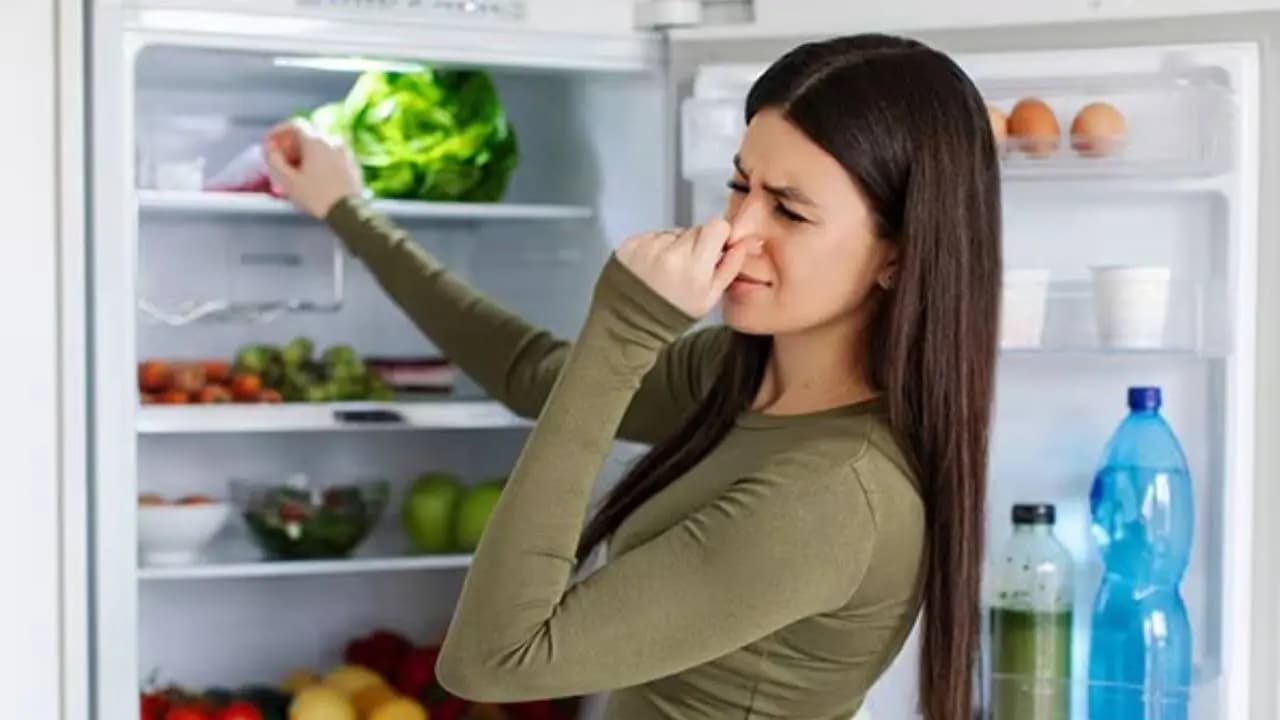 Smart Kitchen Hacks to Remove Bad Smell From Your Fr
