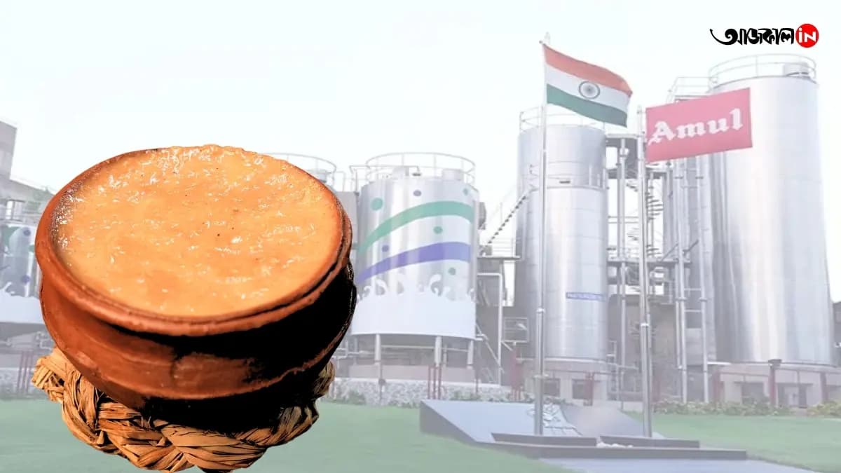 Amul Curd Factory