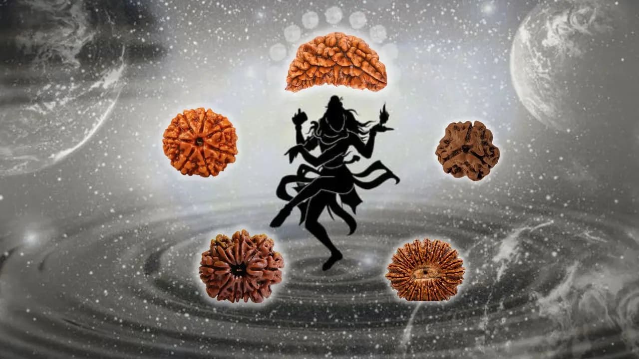 Rudraksha