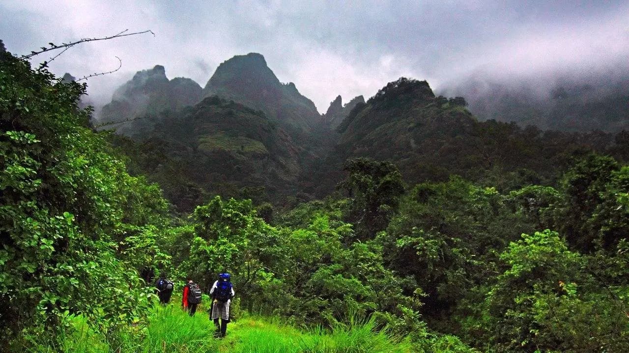 Most Mysterious Forests in India