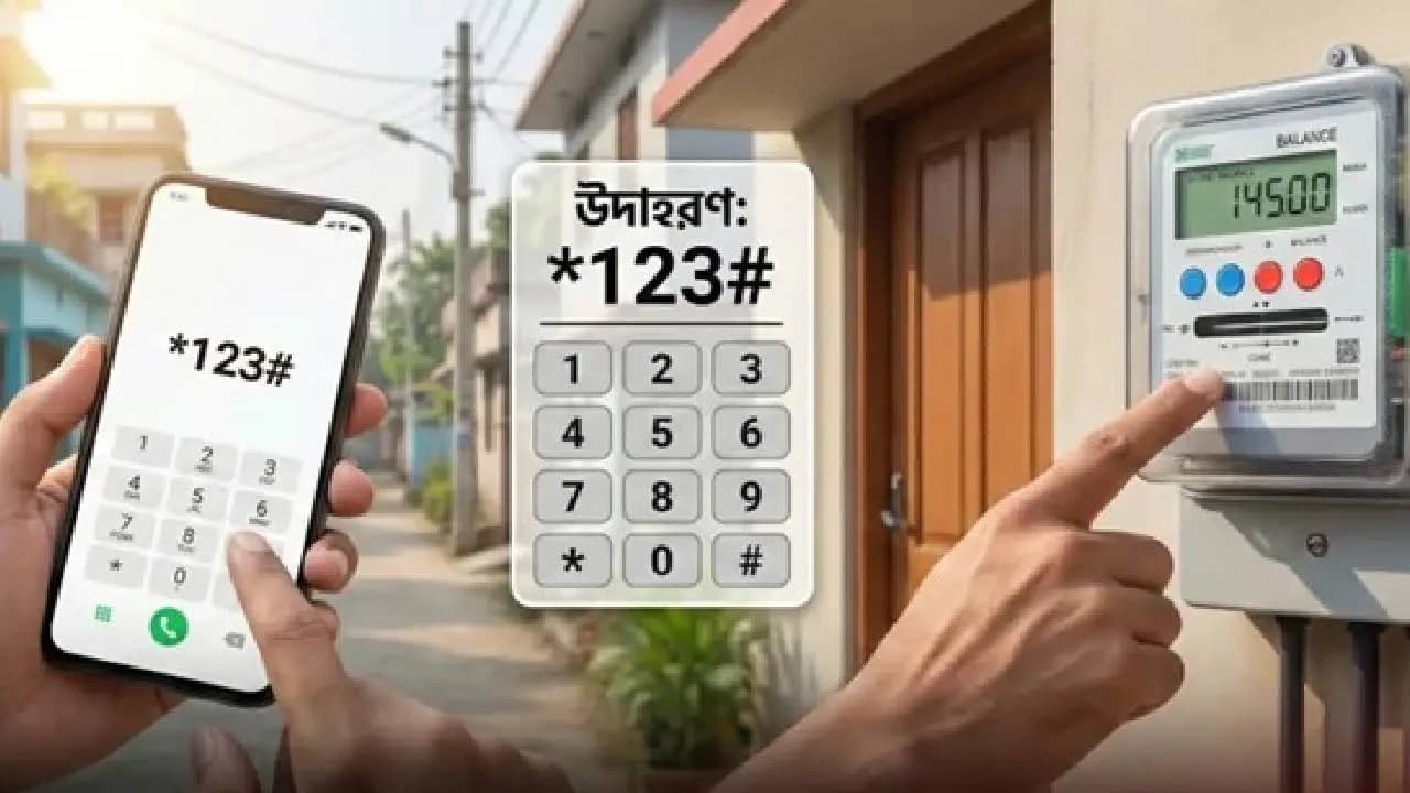 Smart Meter.
Picture: Collected