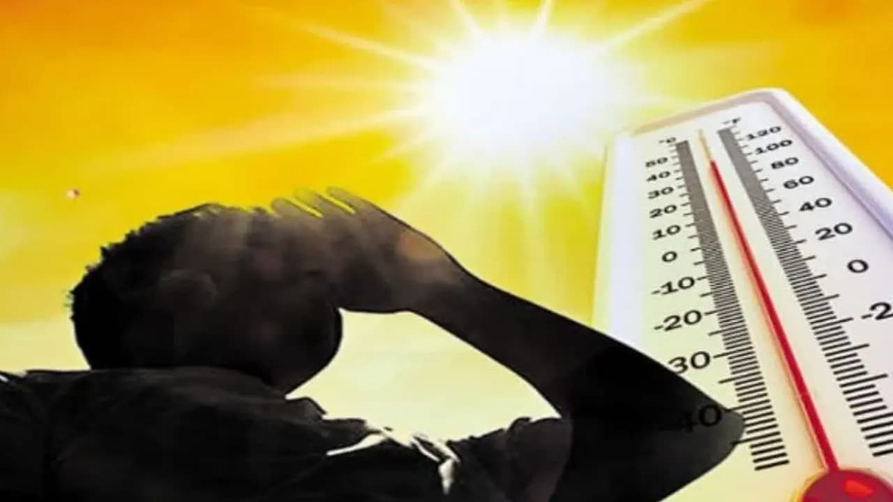 Approximately 8056 people have died in intense heatwave in UP