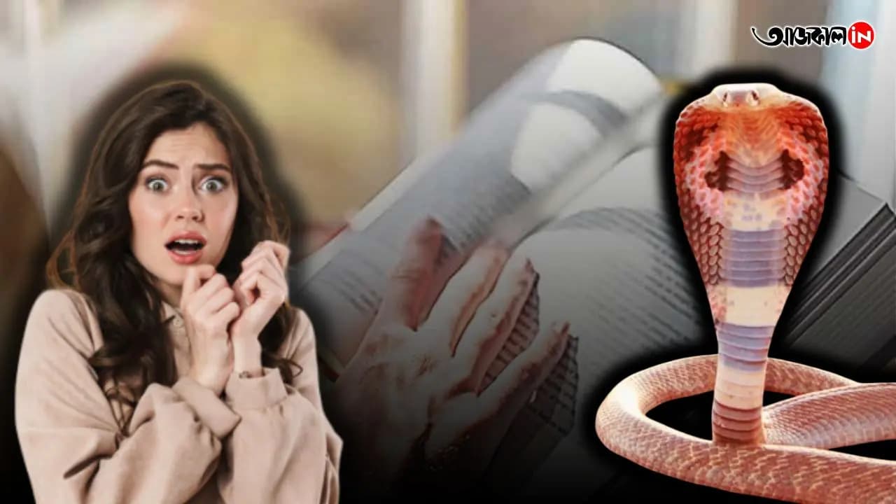 Viral Video: Snake Found Hidden Inside Rows Of Books At Kerala s Victoria College Library