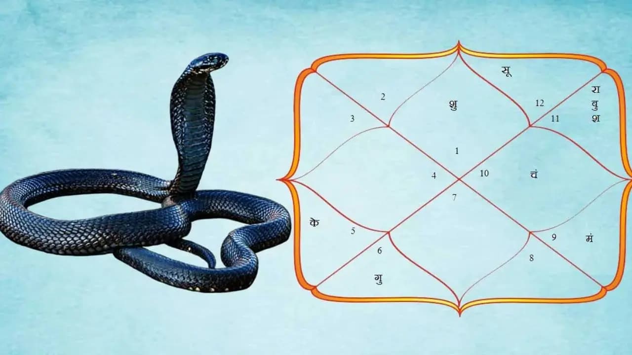 Kalsarpa Yog