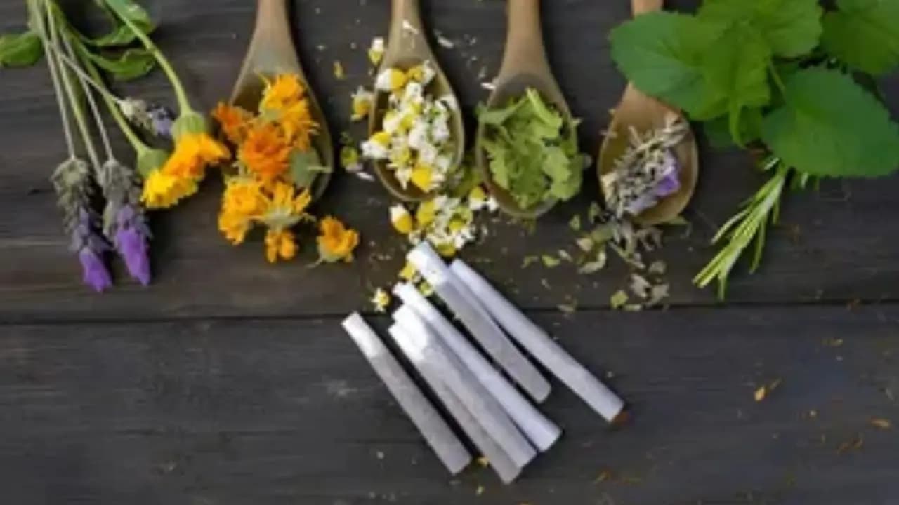east medinipore engineer invents alternative organic cigarettes