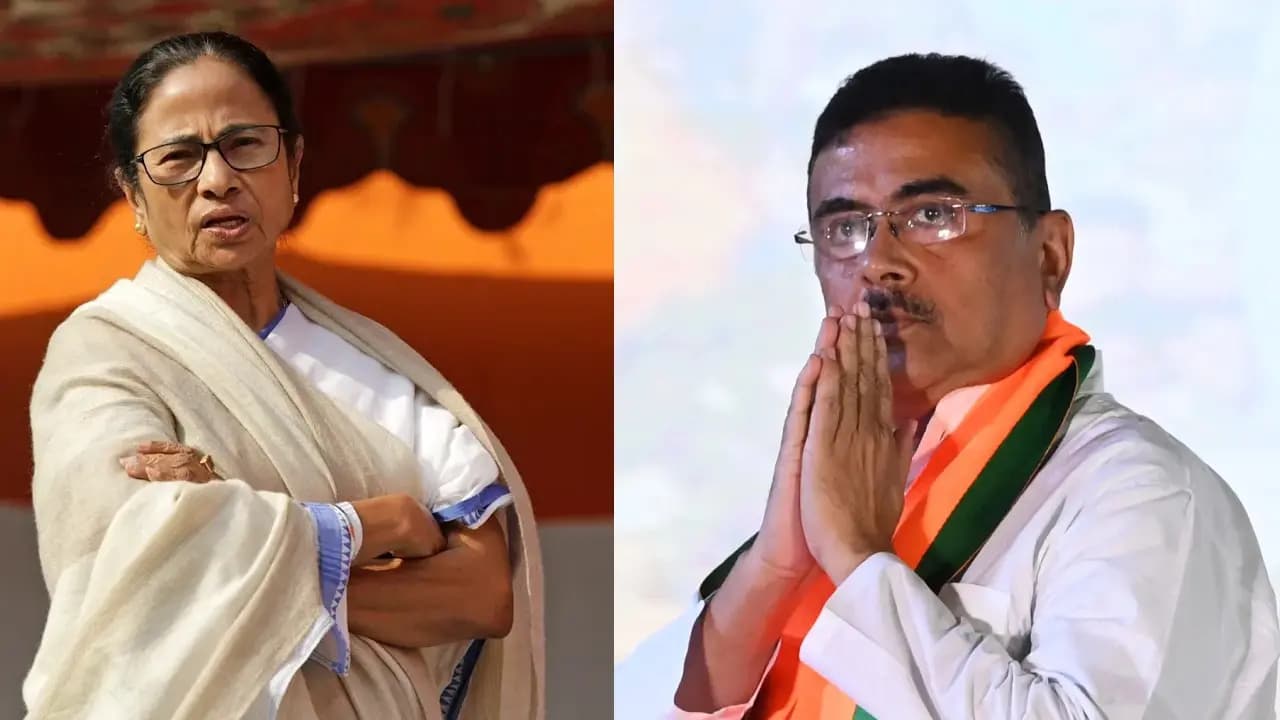 mamata banerjees  bengal global business summit: suvendu adhikari says about bgbs